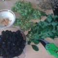 Oogst uit eigen tuin