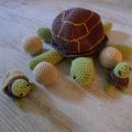 schildpad