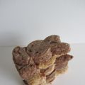 Chocolade en vanille Nijntje koekjes