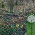 Den Bunt wandelroute