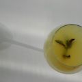 limoen - munt limonade