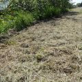 Op het eerste gezicht … in de berm (8)