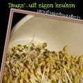 Taugé....uit je eigen keuken