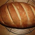 Bloomer (91)