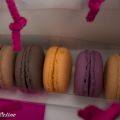 Amacarons te Sint Niklaas (binnenkort ook in[...]