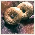 The Life of a Bagel (a dedication to)