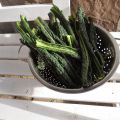 Recept met laatste palmkool en nieuwe moestuin[...]