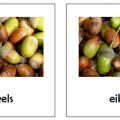 Week van het bos - part I