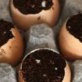 Bespaar op je tuinkosten. Hoe je gratis[...]