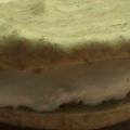 Kruidnoten macarons met witte chocoladepasta[...]