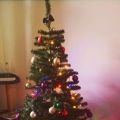 Kerst tag