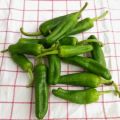 Pimientos de padron