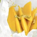 Mango met kiwisalsa