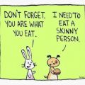 Eat a skinny person: receptloos