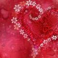 Wat is jouw Liefdes Taal?