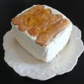 Limoncello semifreddo