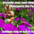 Dag 29: Gezonder eten, meer bewegen en besparen[...]