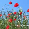 Een blauwtje lopen dus...