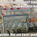 Dag 25: Boodschappen doen? Zeg geen A, maar[...]