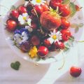 Waarop moet je als vegetariër letten?